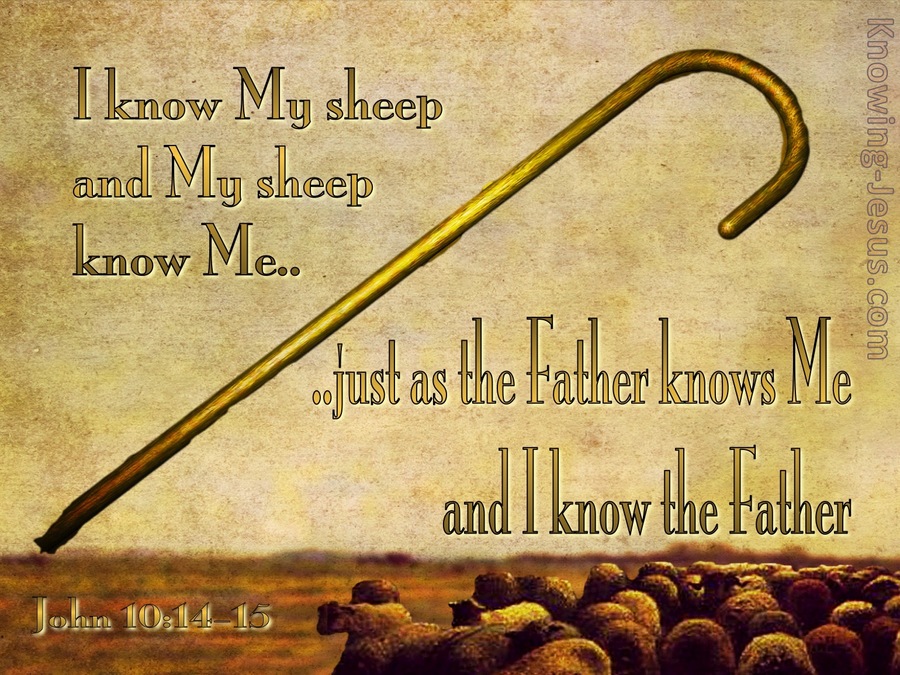 John 10:15: I Know My Sheep (beige)